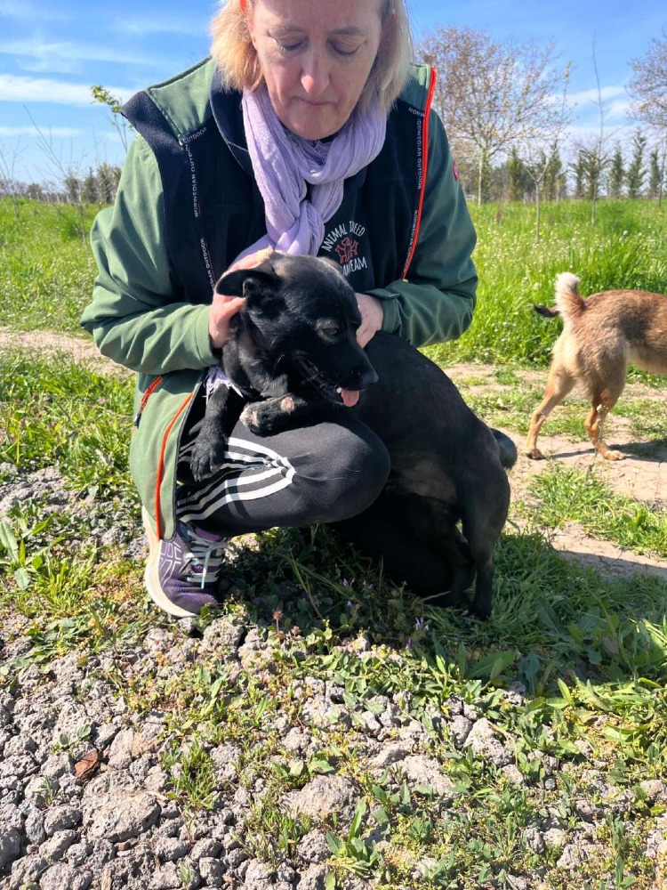 Okkie – Urgent!