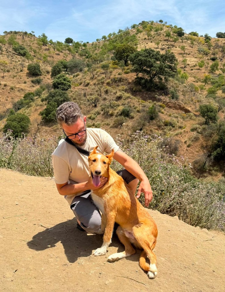 Simba ADR