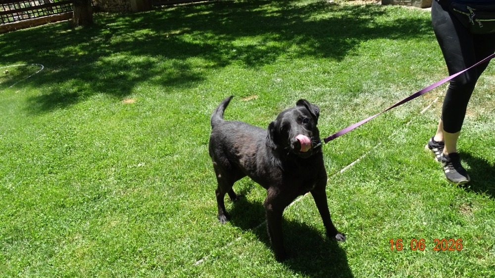 Ellie