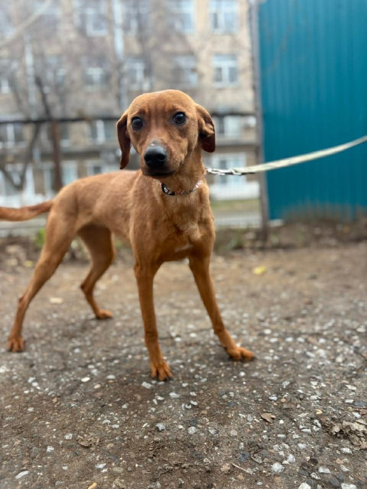 Mikka 🍀