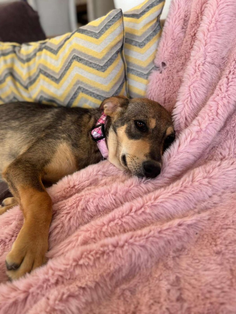 Nina