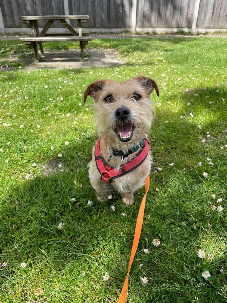 Max