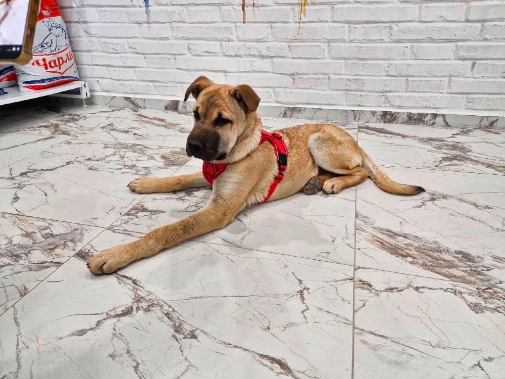 Bruno 😎