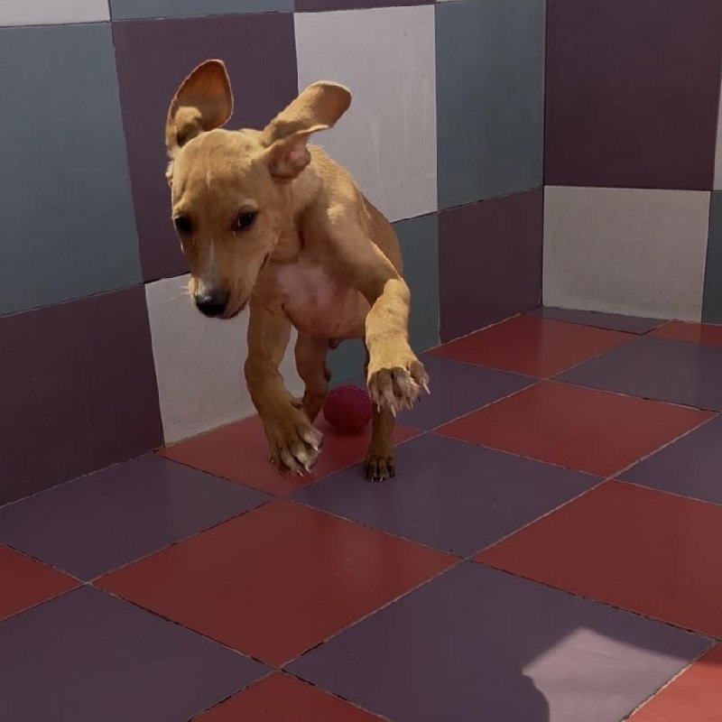 Buster
