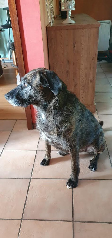 Bruce
