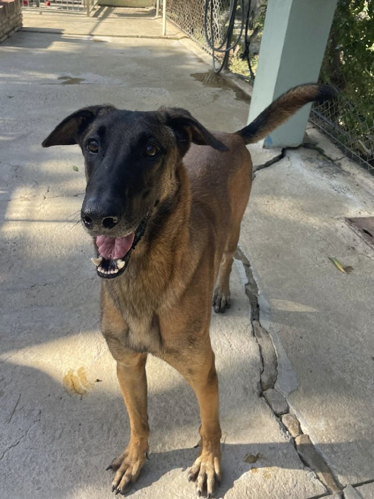 Max