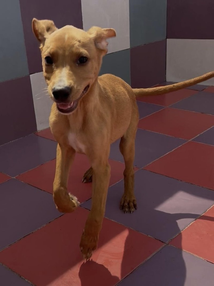 Buster