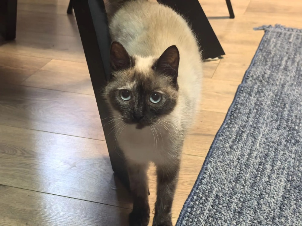 Sophie