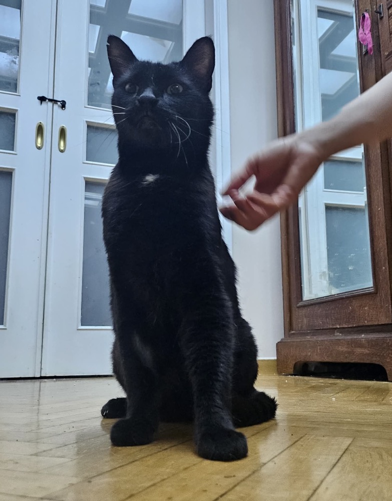 Pixel