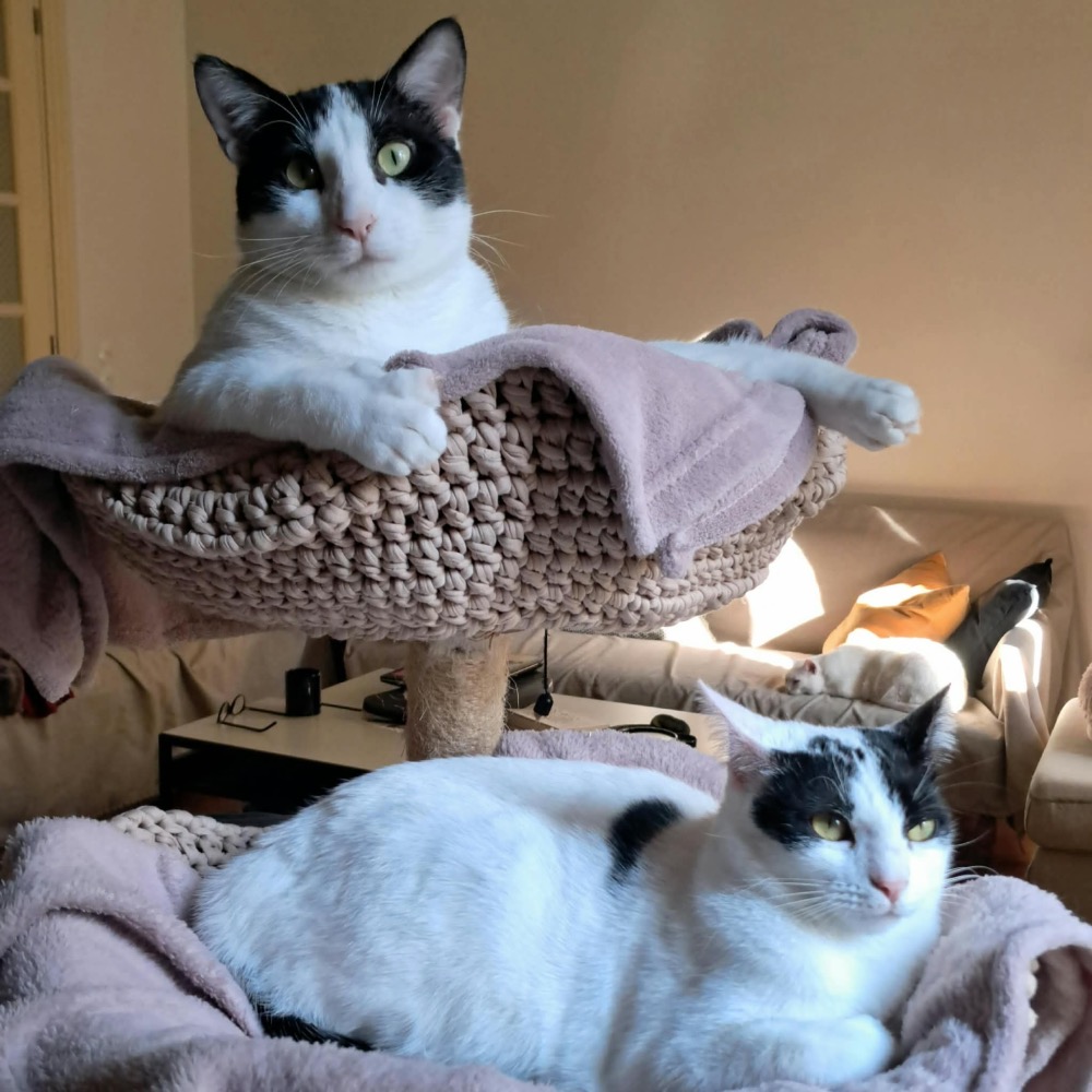 Dennis and Choupa