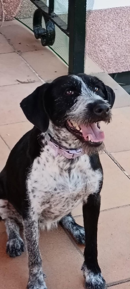 Frida AC