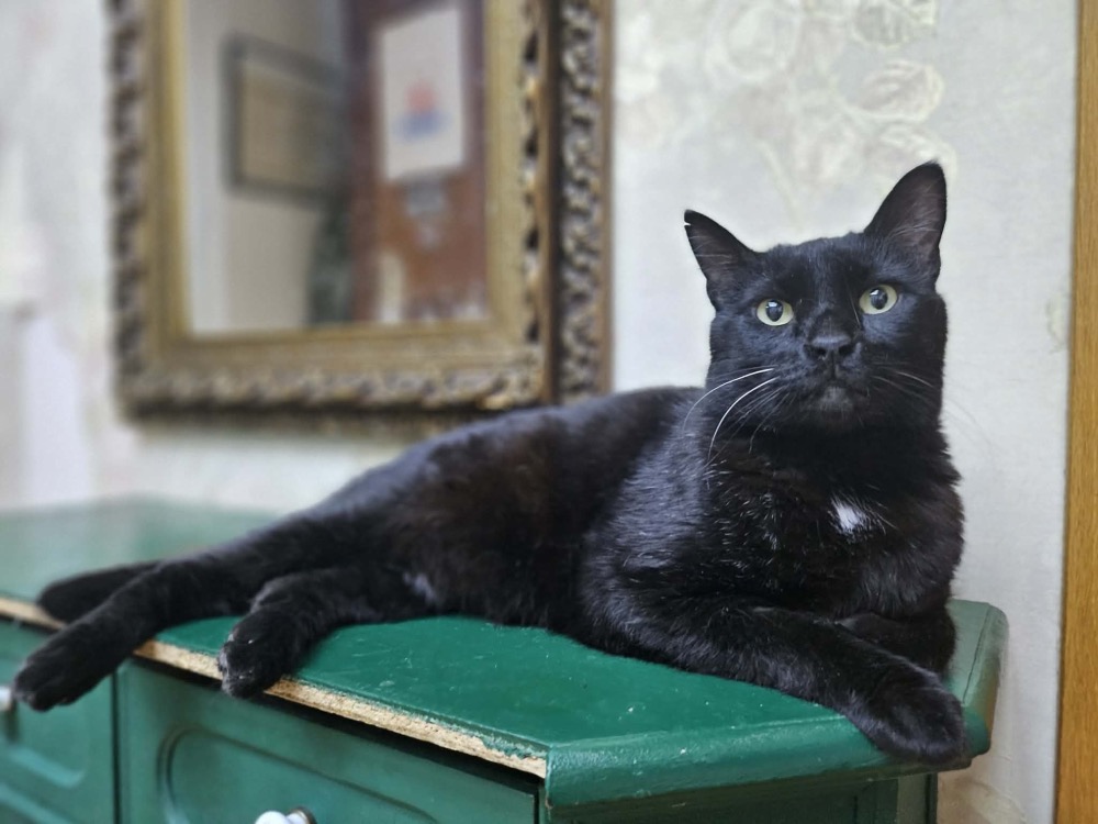 Pixel