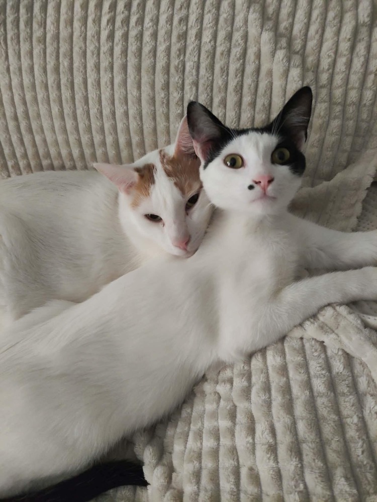 Eusher & Marilyn