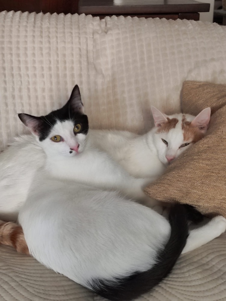Eusher & Marilyn