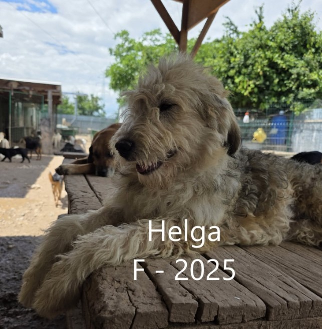 Helga