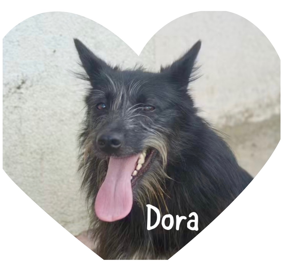 Dora