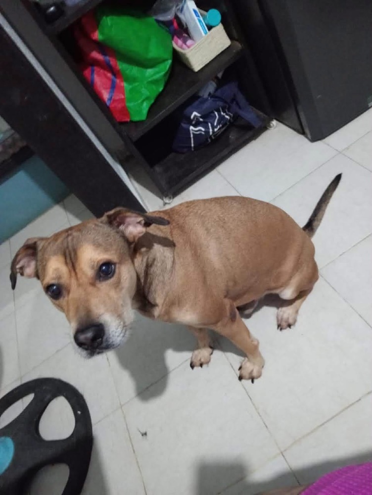 Oscar