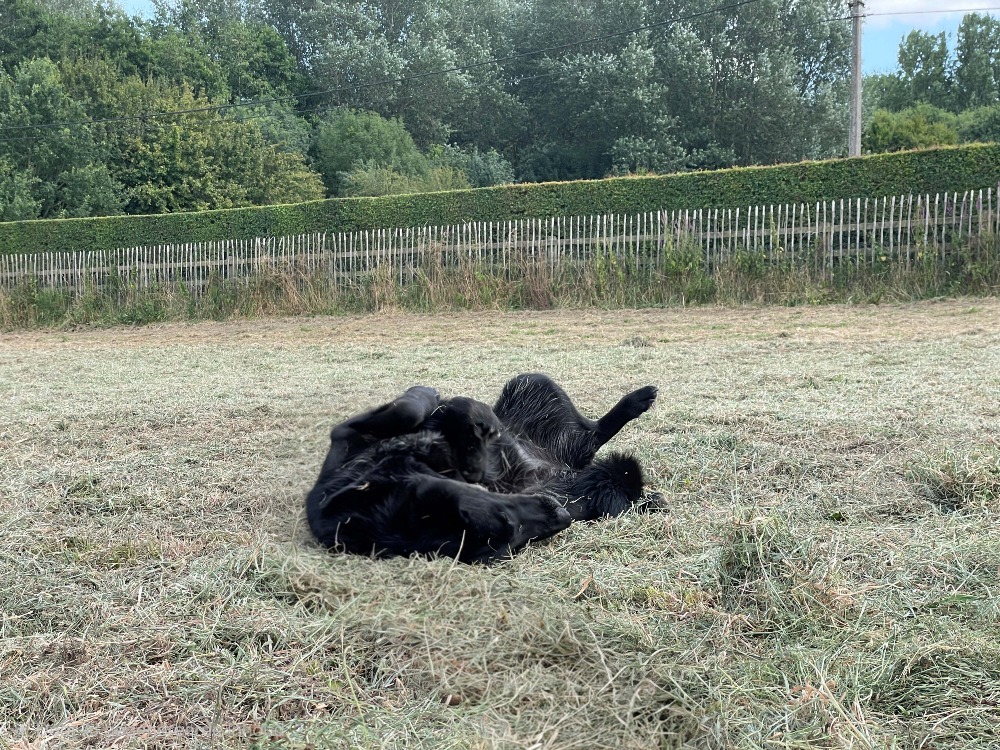Pufna – te bezoeken