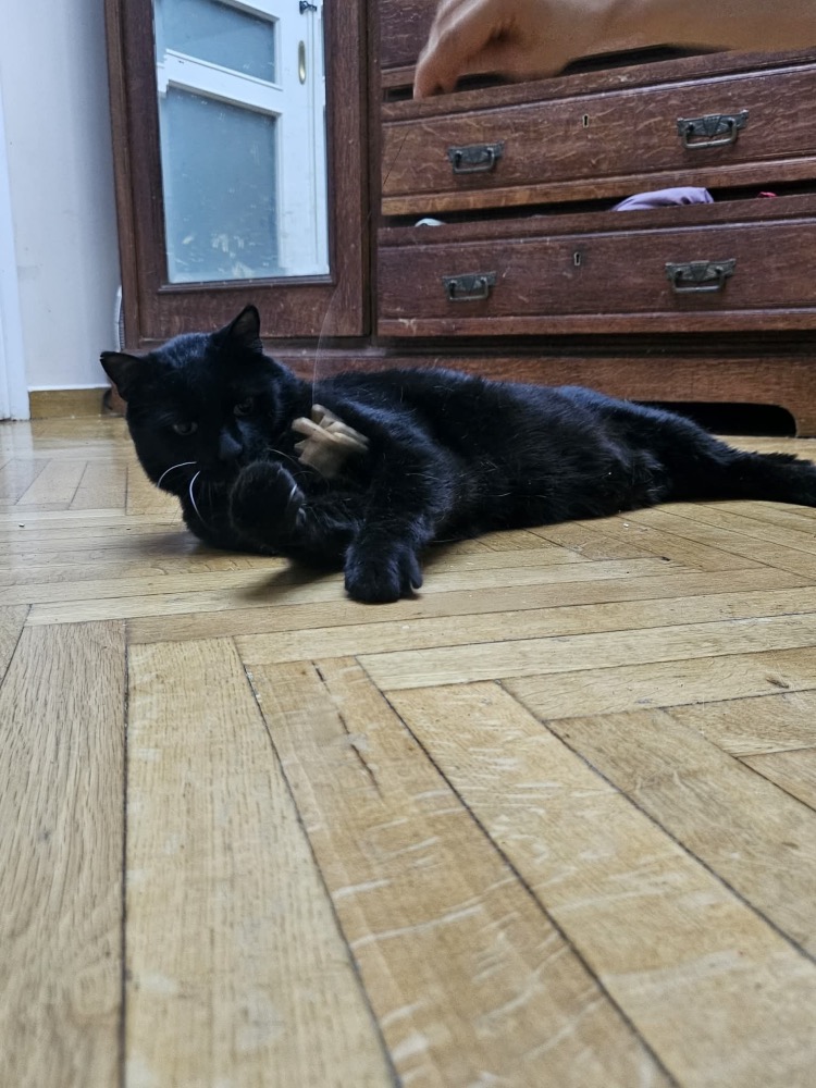Pixel