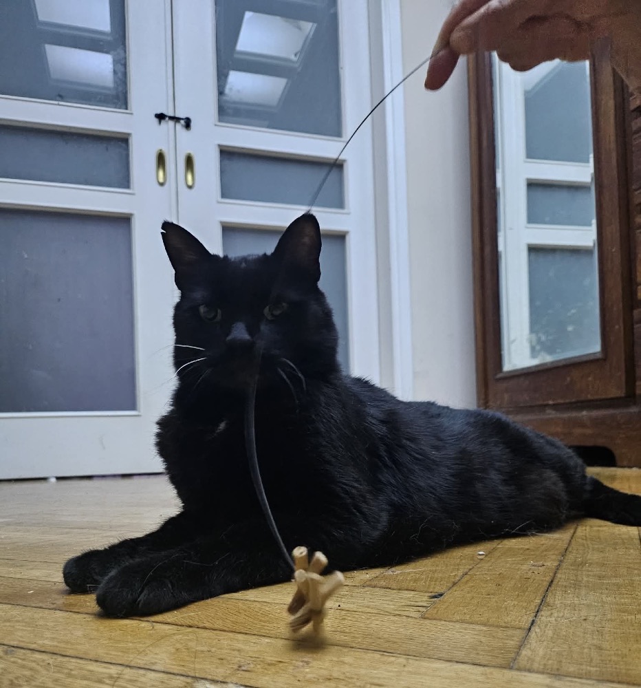 Pixel