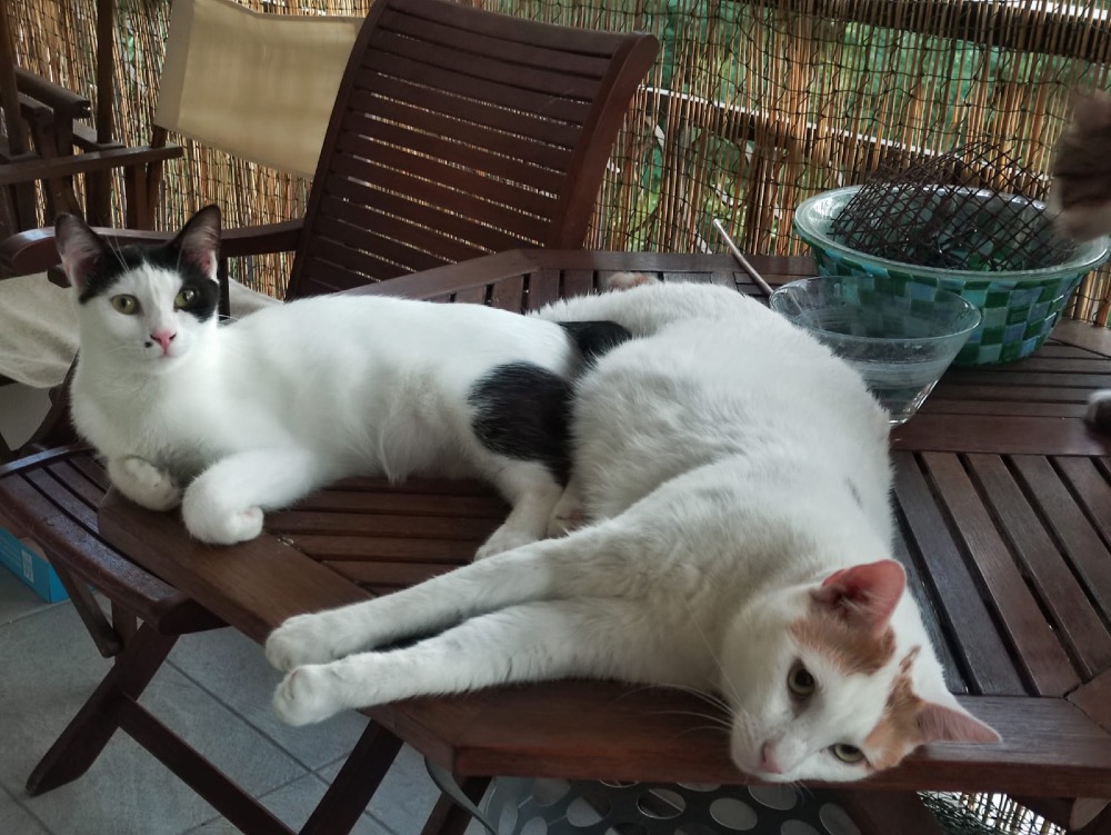 Eusher & Marilyn