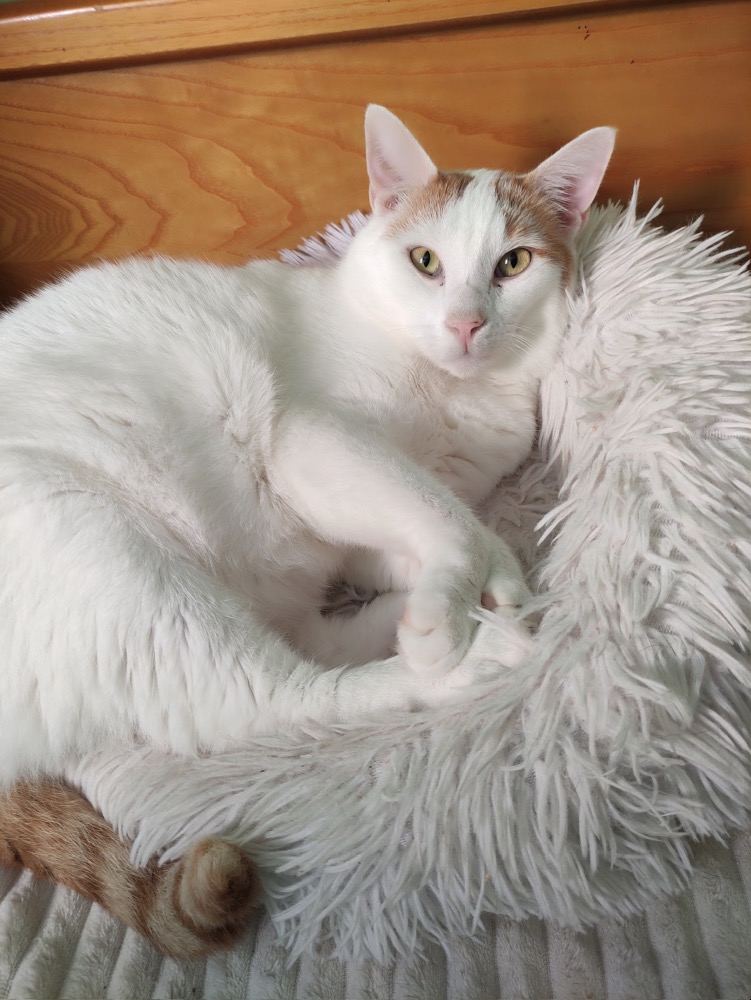 Eusher & Marilyn