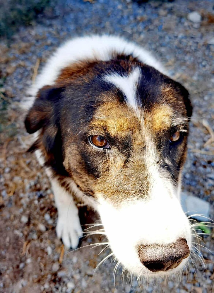 Rita