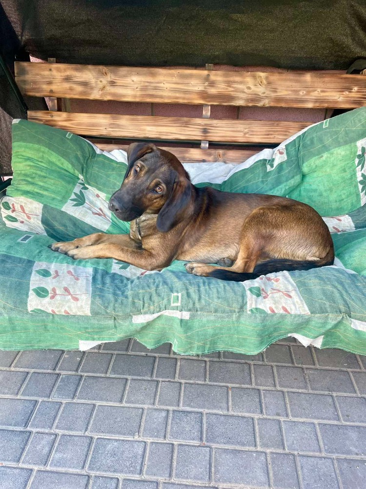 ♡Bruno, een gentleman♡