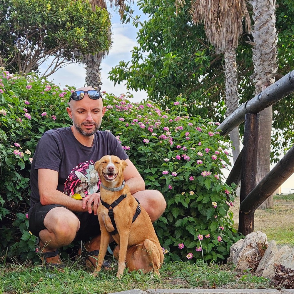 Dama