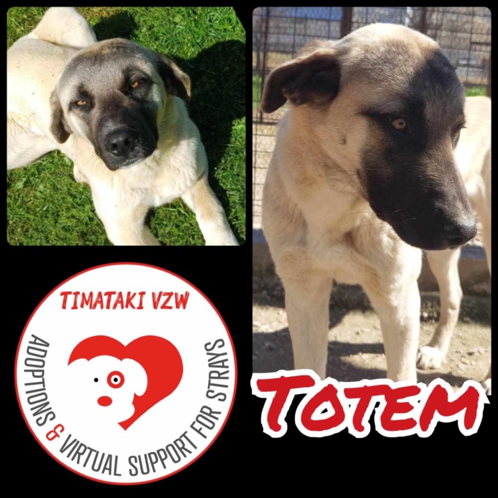 Totem