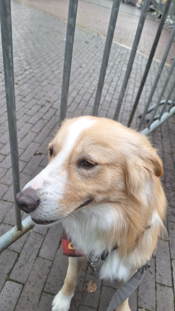 Charlie