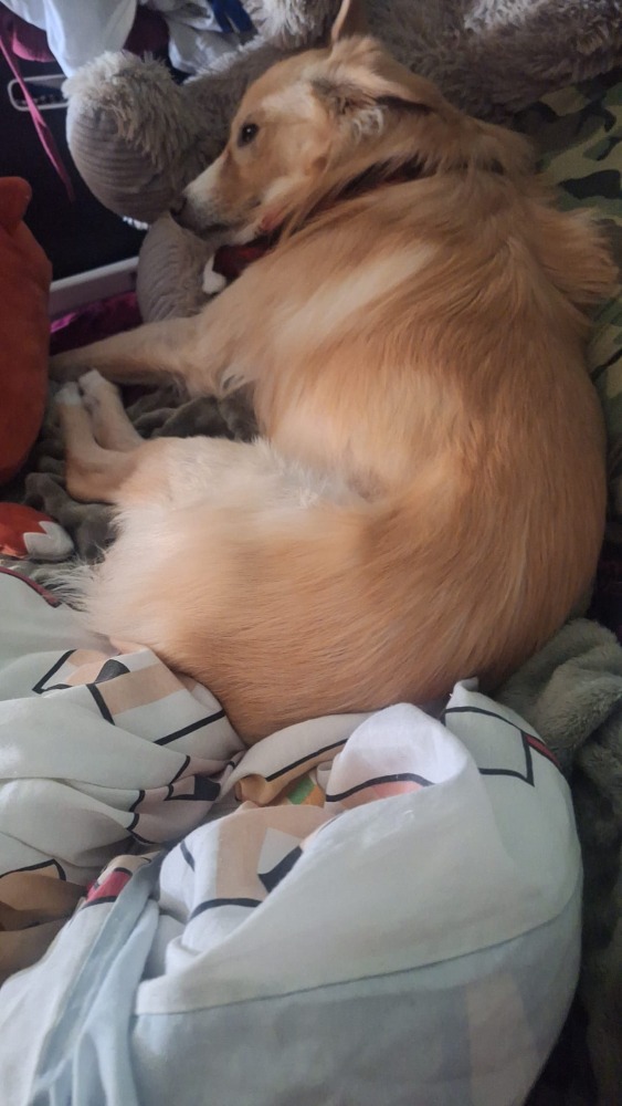 Charlie