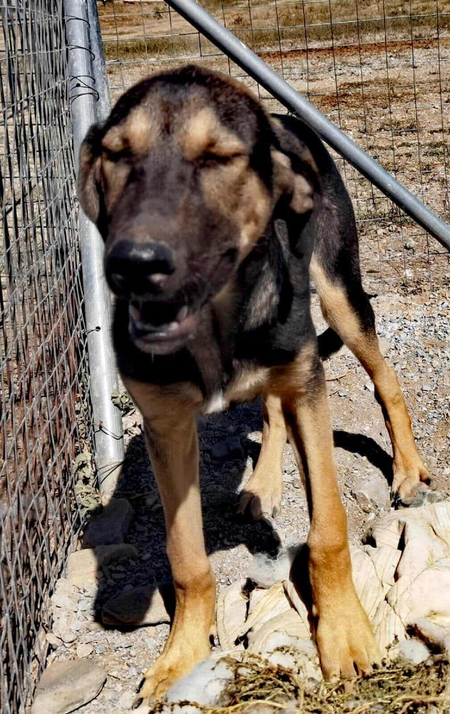 Bruce
