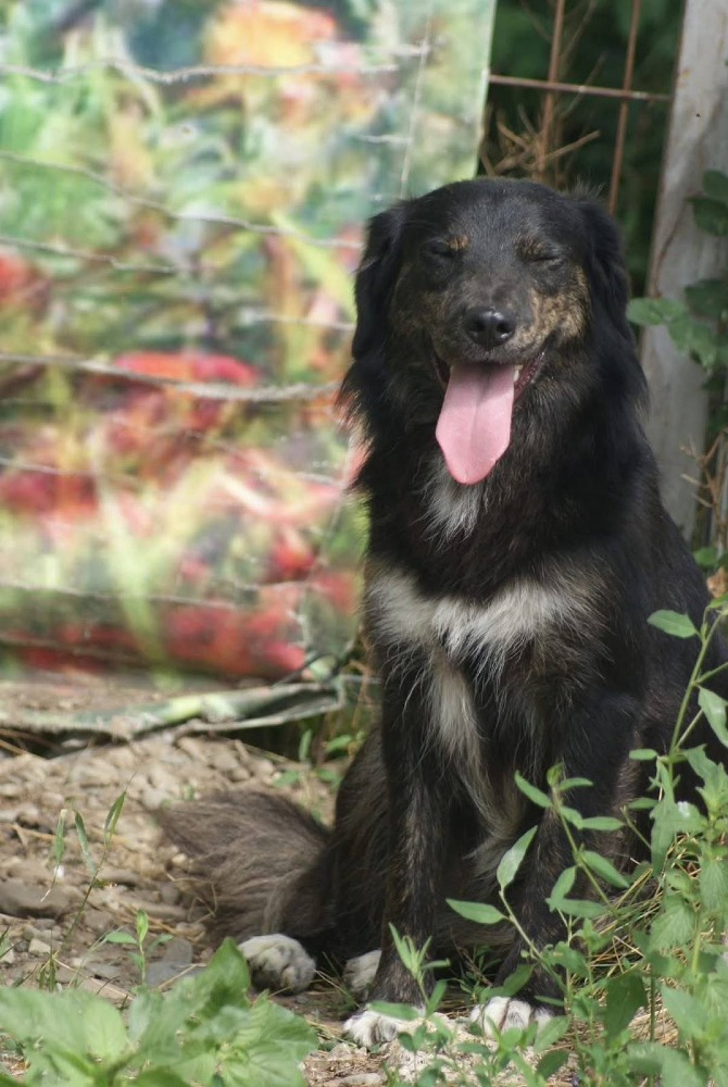 Alma