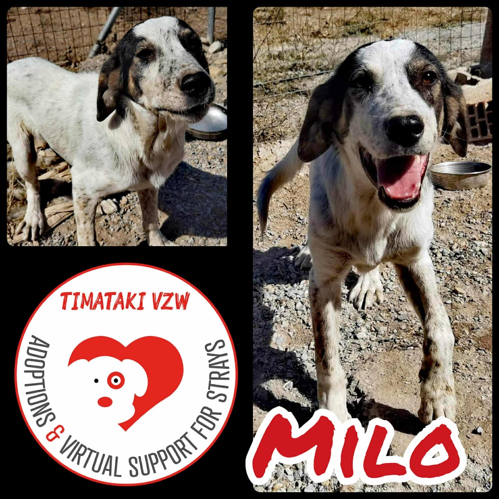Milo