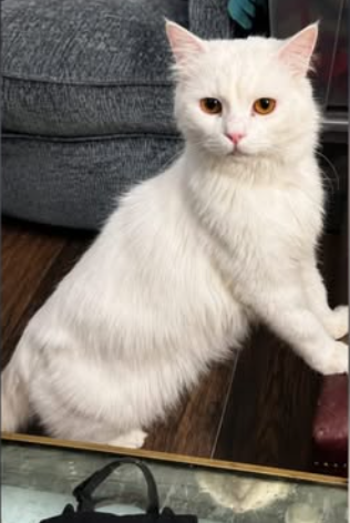 Adam
