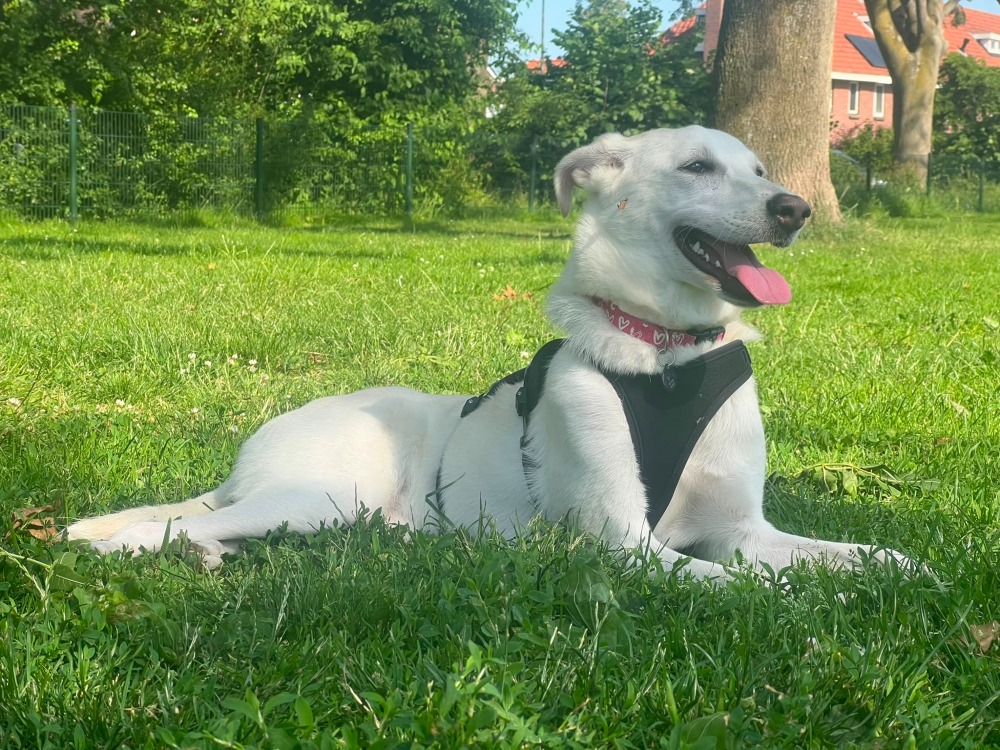 Solana