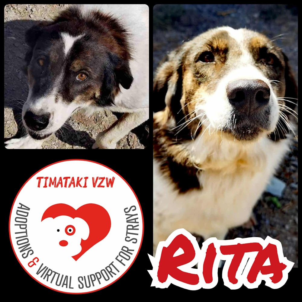 Rita
