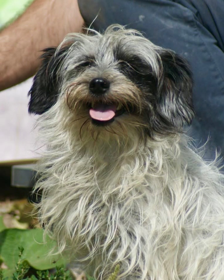 Sofia