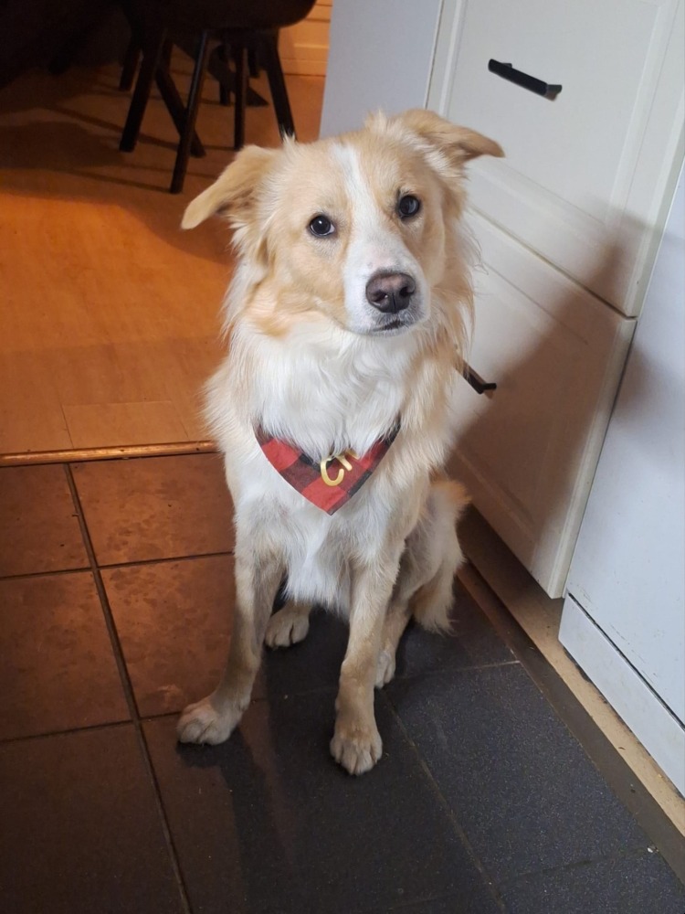 Charlie