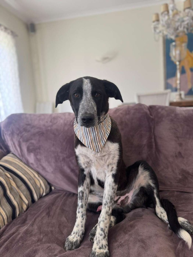 Ben