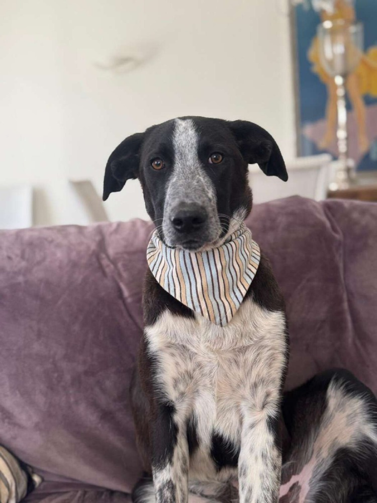 Ben