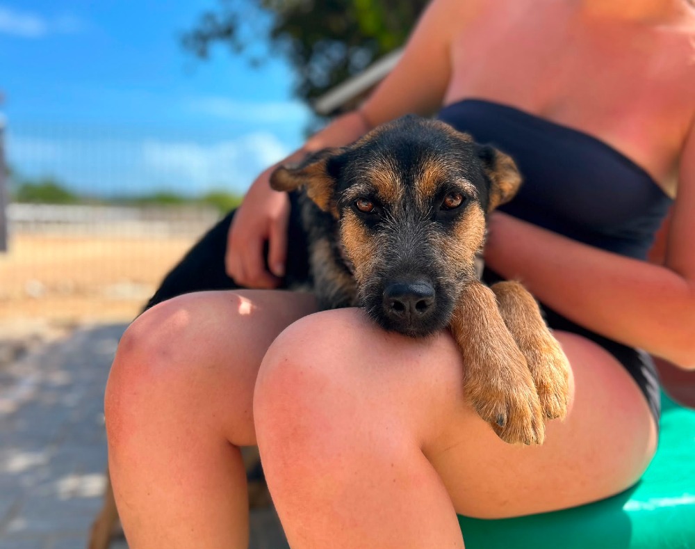 Greta