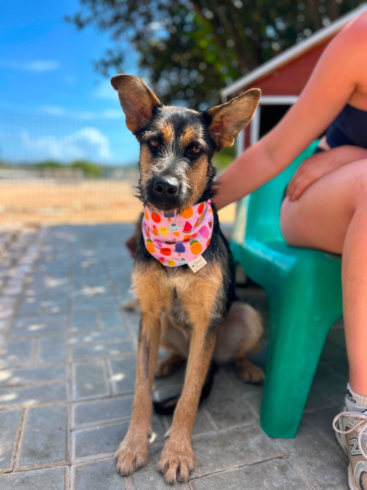 Greta