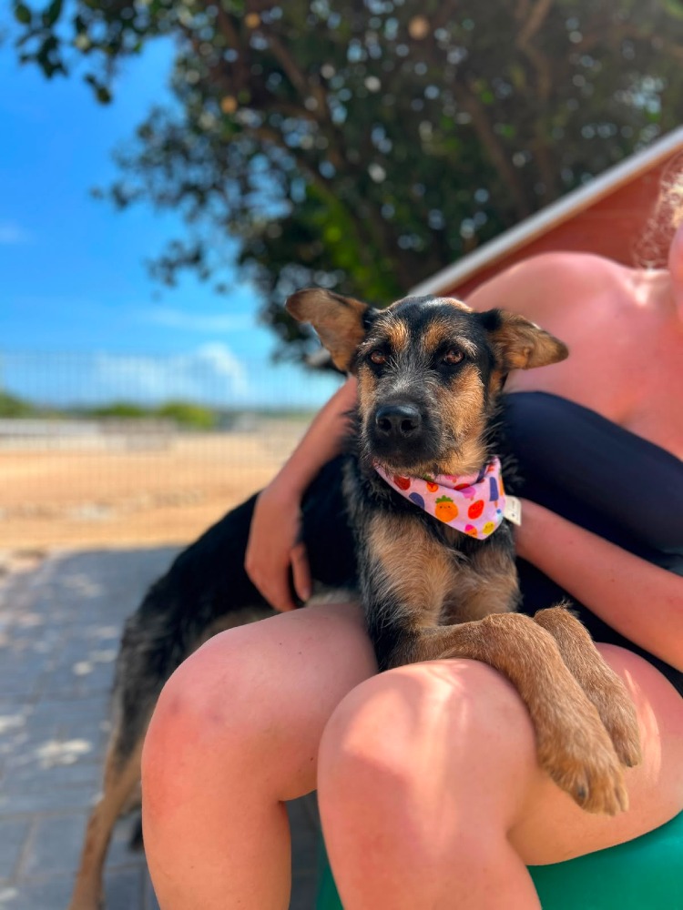 Greta