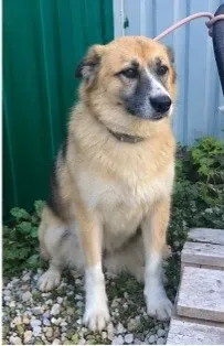 Greta