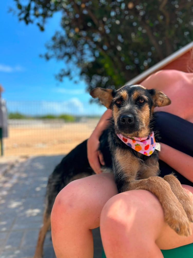 Greta