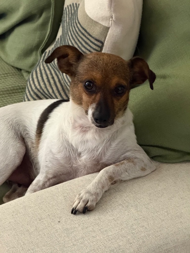 Ella