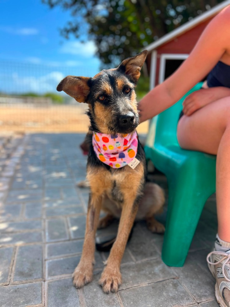 Greta