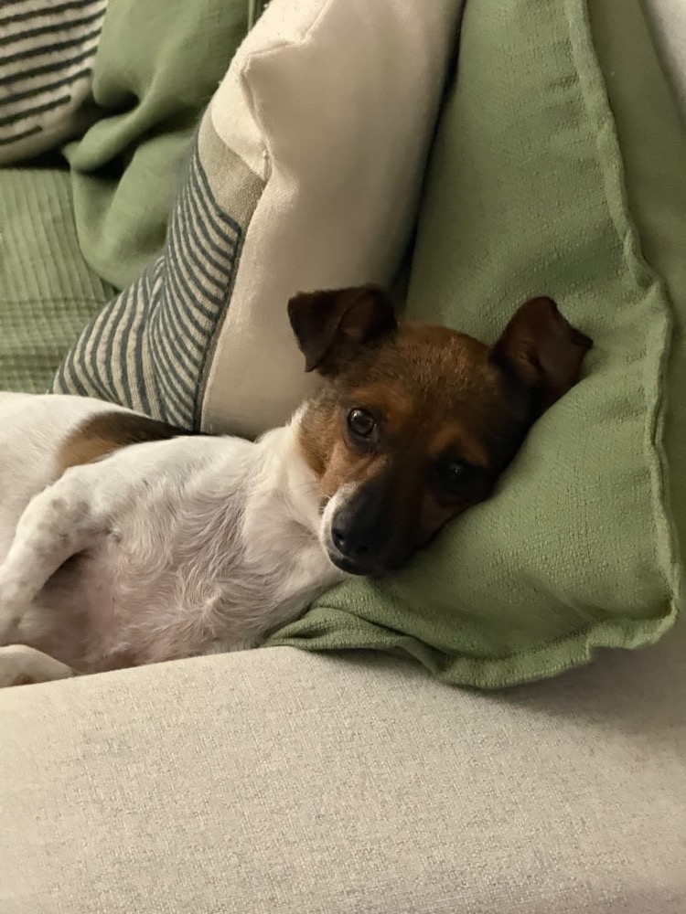 Ella
